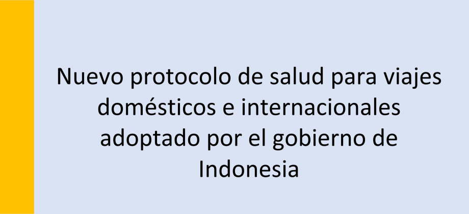 Nuevo protocolo de salud para viajes domésticos e internacionales adoptado por el gobierno de Indonesia